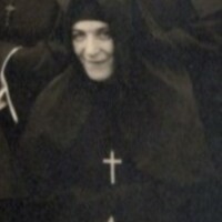 LOSAcolette.jpg