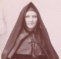 1J12-167_COLLEEodile_v3.jpg