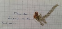 20240607_143239.jpg